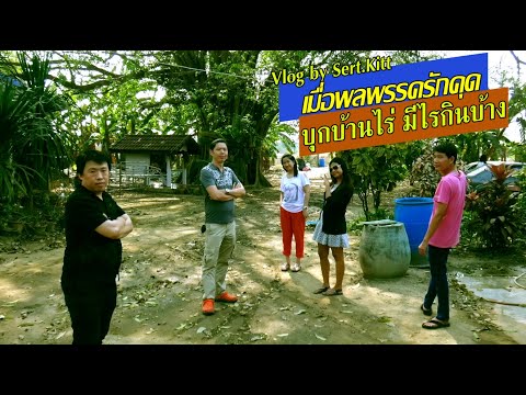 Vlog 2016 พาเพื่อนๆ เที่ยวชมไร่การเกษตร แปลงปลูก ผักชี หน่อไม้ฝรั่ง ชิวๆขำๆอำกัน วันมาฆะ