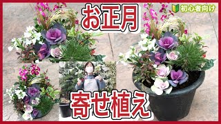 【コンテナガーデン】お正月・松の寄せ植え🎍水引きの簡単な結い方