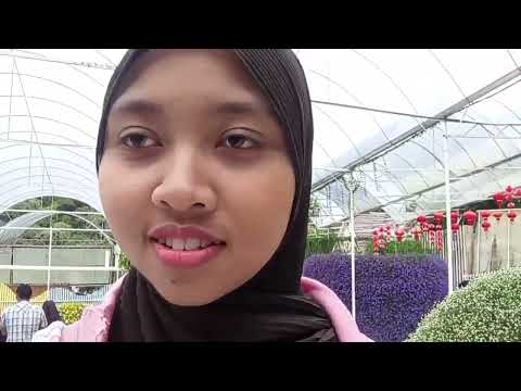 Vlog: Cameron Highlands trip