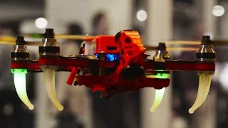 Qualcomm's Autonomous Drones! CES 2017 - Formula E