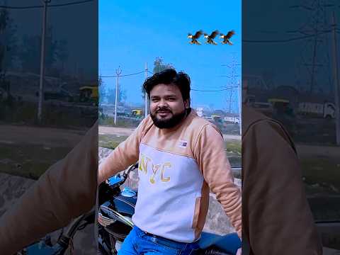 #haryanvisong #dhandanyoliwala #dhandanyoliwalanewsong 2025 new haryanvi song #youtubeshorts