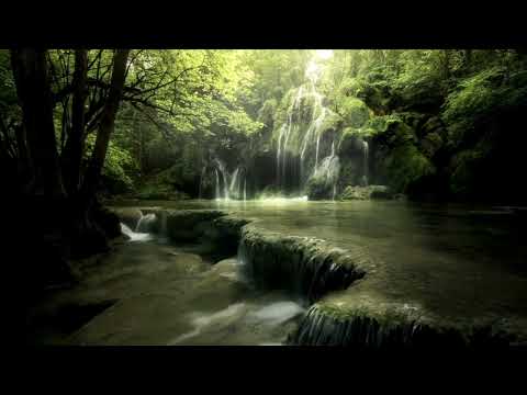 Relaxing and Soothing Music, Deep Sleep, Stress Relief, Study Music, Meditation, Insomnia #soothing