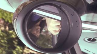 RADWIMPS - LastVirgin [Official Music Video]