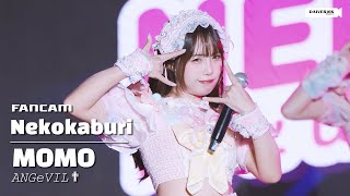 250614 [Fancam] Momo ANGeVIL✟ - Nekokaburi @ A Lot Of Tone 1st Anniversary Concert