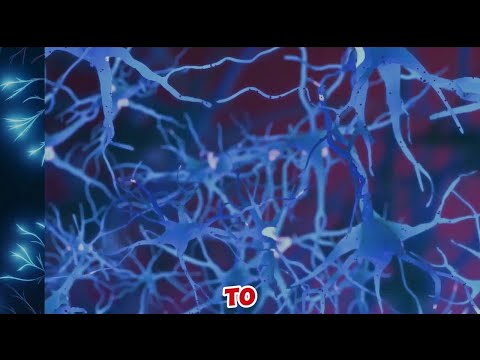 How the Habit Loop Works - Rewire Your Brain for Success!