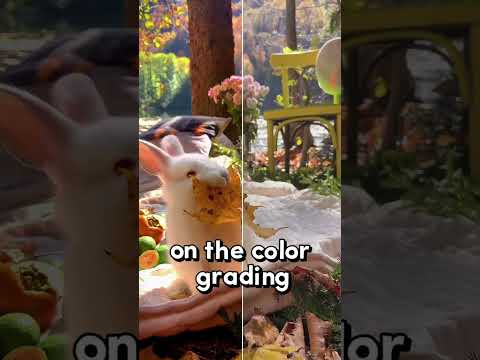 Color Grading Tutorial | Filmora Mobile #edit #filmora #film