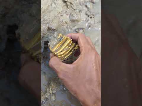 gold mined in the river #goldhunter