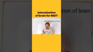 lateralization of brain #science #biology #brain #neet
