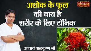 अशोक के फूल की चाय है शरीर के लिए टॉनिक ! Tonic for the Body ! Acharya Balkrishna Ji ! Sanskar TV