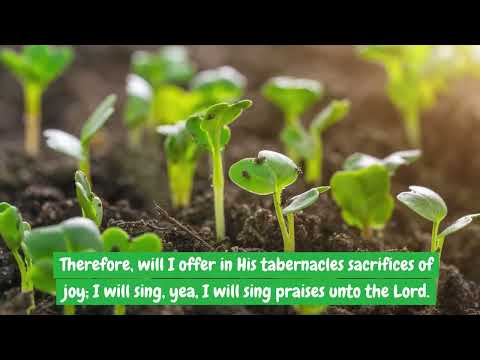 The Lord is my Light and my Salvation!