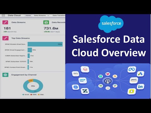 Unlock the Power of Salesforce Data Cloud | Cloud Developer | Part 1