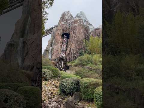Expedition Everest at Disney’s Animal Kingdom #disneyworld #disney #themepark #animalkingdom