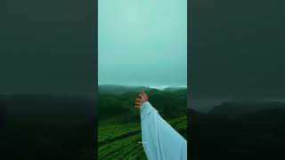 📍𝗺𝘂𝗻𝗻𝗮𝗿                                     #travel #nature #explore #munnar