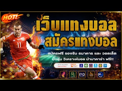 เว็บแทงบอลที่ดีที่สุด สมัครแทงบอล ไม่มีขั้นต่ำ!