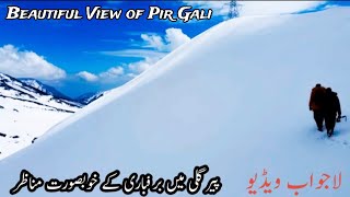 Best Gojri Bait Awaz Mohd Yousaf Arman Kalam Mukhtar Majaz Sb #gojri #suranvalley #explore #nature
