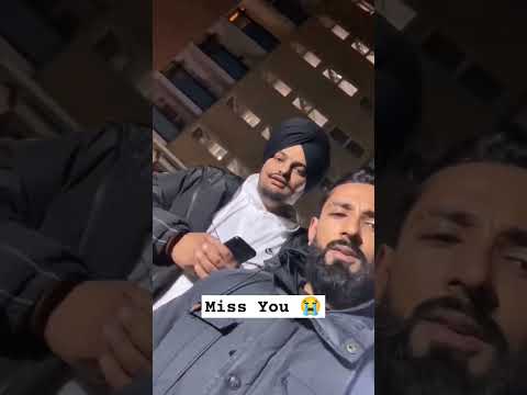 💔Jaano Pyare Bichhadane te, Miss You 😭😭 Jhhota #sidhumoosewala #trendingshorts #trendingonshorts