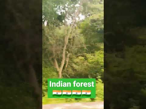 INDIAN forest 🇮🇳🇮🇳🇮🇳🇮🇳🇮🇳