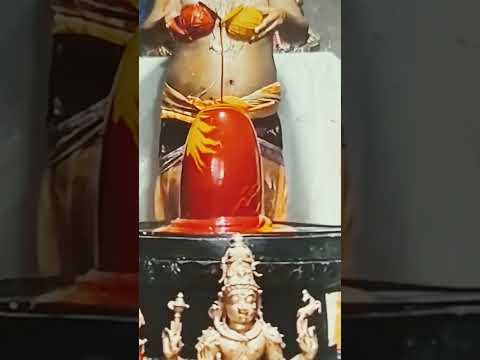ஓம் நமசிவாய ## ஓம் சிவாய நம