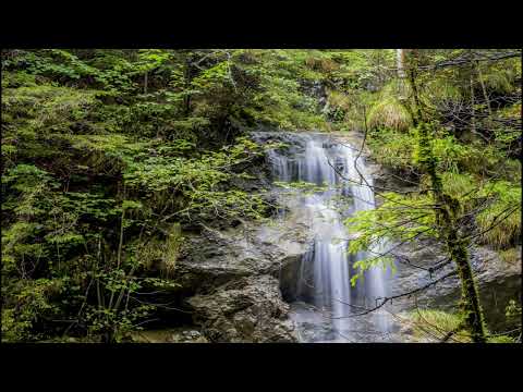 Relaxing Sleep Music, Meditation, Silence, Calm, Stress Relief, Concentrate, Study, Sleep