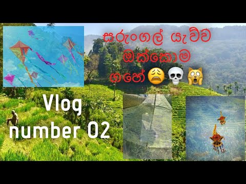 සරුංගල් යැව්ව ඔක්කොම ගහේ 🤧😩🙀💀| fun day 😅😅😅