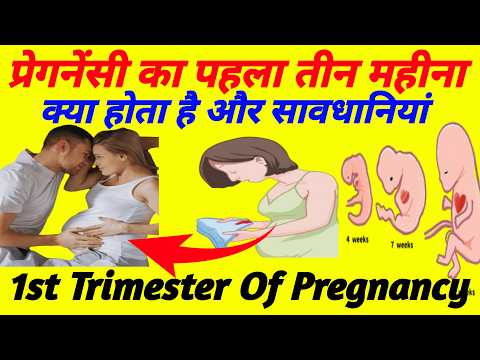 प्रेगनेंसी के पहले तीन महीने में क्या होता है,सावधानियां | First Trimester Of Pregnancy|