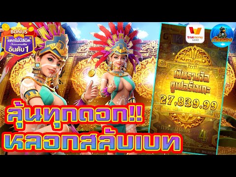 #เว็บตรง #สล็อตเว็บตรง #เว็บตรงไม่ผ่านเอเย่นต์ :ลุ้นทุกดอก หลอกสลับเบท!!