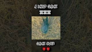 ‎🔥 Epic Army Battle | Soldiers Shooting Each Other | Action Short Video