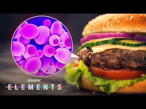 Your Next Burger Could Be Made With Microbes