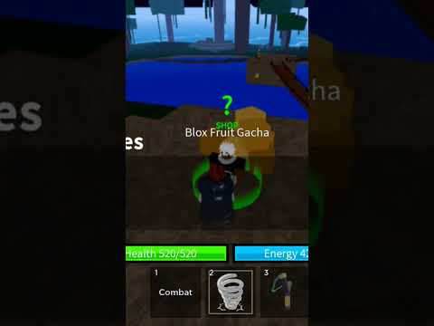 blox fruit random fruit