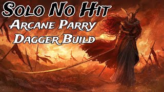 No Hitting Malenia With Parry Dagger Build