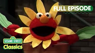 Elmo Pretends to Be a Flower | Sesame Street Classics Full Episode