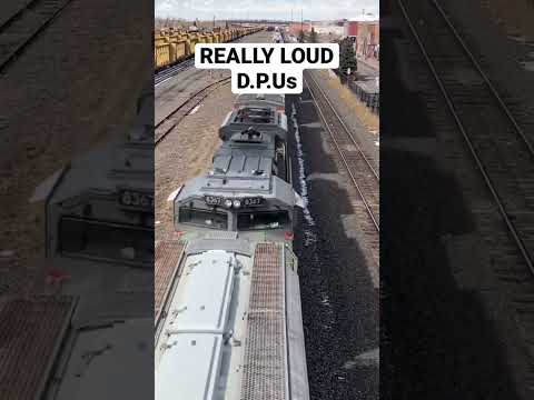 SUPER LOUD DPUs