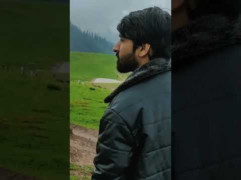 Naran Trip Shorts