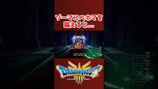 衝撃！ゾーマにベホマを唱えると...【ドラクエ3リメイク】ドラゴンクエスト3 HD-2Dリメイク #レベル上げ #DQ3