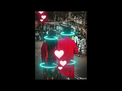 amar gorur garite bou sajiye❣️😍// whatsapp  status