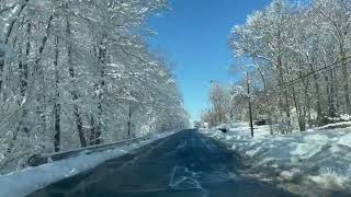 My Street Is So Beautiful #413 #massachusetts