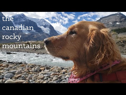 Our Rocky Mountain Adventures | Video Journal Aug 2020
