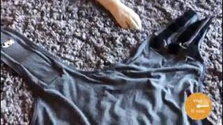 How to use ThunderShirt on your dog for the first time