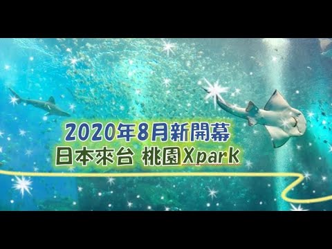 日本八景島海外分館．Xpark搶先看！暑假就到這來尋找日本味