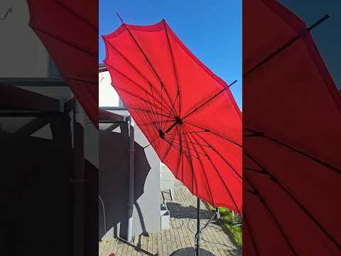 pozdrav iz evrovizijskega Basla