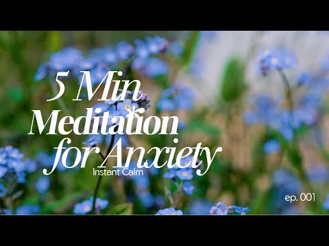 5-Minute Meditation for Anxiety Relief | Calm Your Mind Instantly