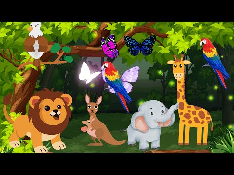 Wildlife Feast: Exploring Animal Diets with our Lion Explorer! 🦁🍃 | Educational Kids Content