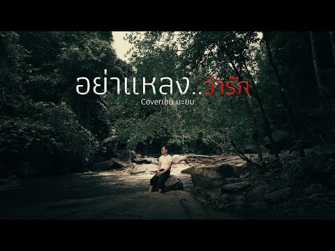อย่าแหลงว่ารัก Cover By เชนมะยม