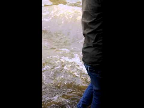 Chennai Rain - Floating Buses - velacherry