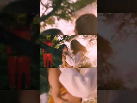 #songoftheday #videooftheday #dhanush #tamil #nayanthara #actress #actor #film #filter #shorts#love