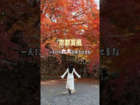 第一次去京都賞楓推薦你這條路線，一天打卡六大楓葉聖地 #日本 #日本旅遊 #京都 #京都楓葉 #japan #kyoto #旅行