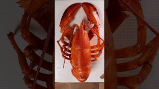 How to Breakdown a Lobster