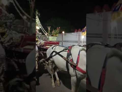 vansh sringar baggii shivpuram mohakampur 8279452913