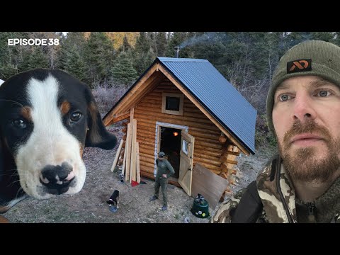 MOVE-IN DAY, Swiss Mountain Dog, Woodshed Foundation |EP38| Log Cabin Build on Off-Grid Homestead