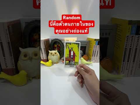 #ดวง #tarot #ไพ่ทาโรต์ #pickacard #เริ่มใหม่ #ปล่อย #ไม่ชัดเจน #ดวงความรัก #งาน#รู้ทัน #ดวงออนไลน์